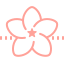 spa-flower